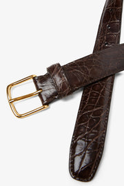 Classic brown gold buckle belt